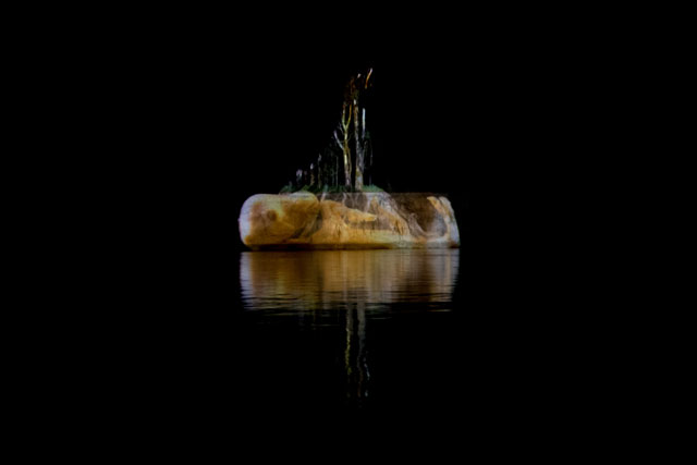Vic McEwan. Kangaroo Embryo from National Museum of Australia Specimen Collection projected onto the banks of the Murrumbidgee River in Narrandera NSW, 2015. Image courtesy Vic McEwan.