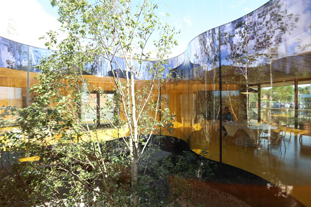 The birch tree In the void, Maggie’s Centre for cancer care, Oldham. Photograph: Alex de Rijke.