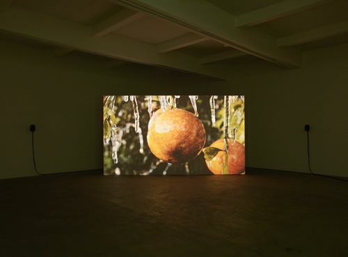 Nicholas Mangan, Ancient Lights (2015). Installation view (2), Chisenhale Gallery, 2015. Co-commissioned by Chisenhale Gallery, London and Artspace, Sydney. Courtesy the artist; Labor Mexico; Sutton Gallery, Melbourne; and Hopkinson Mossman, Auckland. Photograph: Andy Keate.