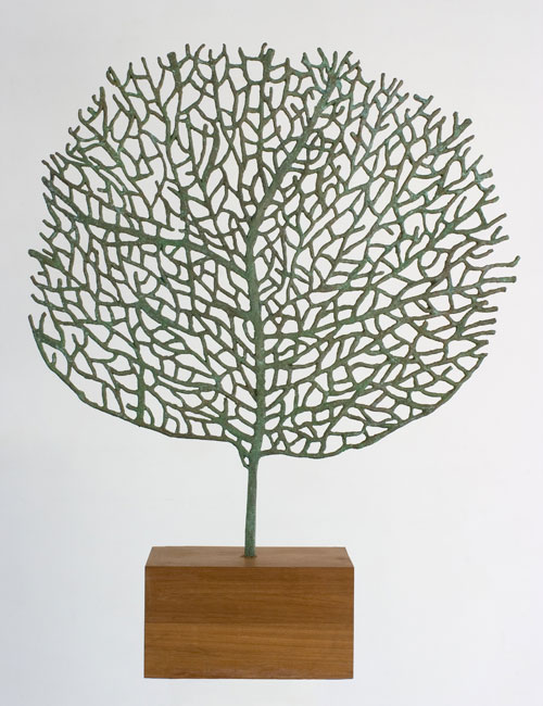 Abigail McLellan. Large Seafan Sculpture, 2005. Bronze and oak, approx 120 x 98 x 23 cm.