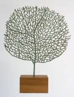 Abigail McLellan. Large Seafan Sculpture, 2005. Bronze and oak, approx 120 x 98 x 23 cm.