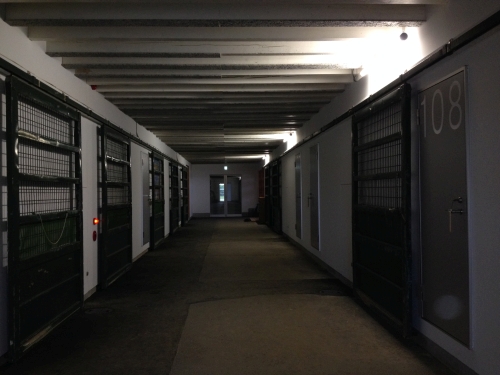 Conference centre (originally a barn). Interior view.