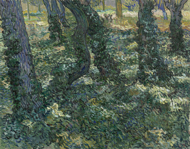 Vincent van Gogh. Undergrowth, 1889. Van Gogh Museum, Amsterdam. (Vincent van Gogh Foundation).