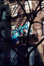 Senga Nengudi, Drifting Leaves, 1972. C-print, 105.4 x 70.8 x 4.8 cm. Courtesy of Sprüth Magers and Thomas Erben Gallery, New York. Photo: Doug Harris.