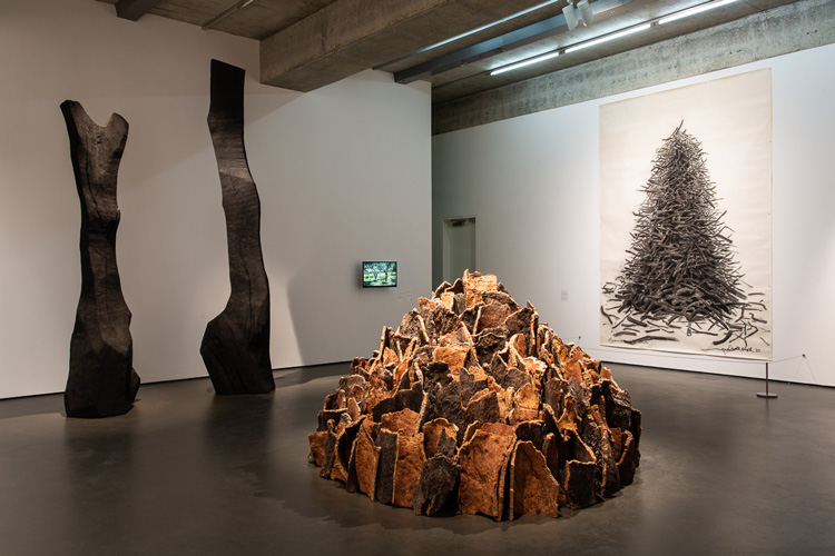 David Nash: 200 Seasons. Installation view, Towner Art Gallery, Eastbourne, 2019. Photo: Rob Harris.