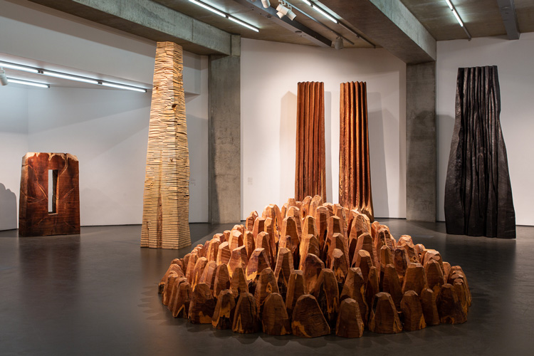 David Nash: 200 Seasons. Installation view, Towner Art Gallery, Eastbourne, 2019. Photo: Rob Harris.