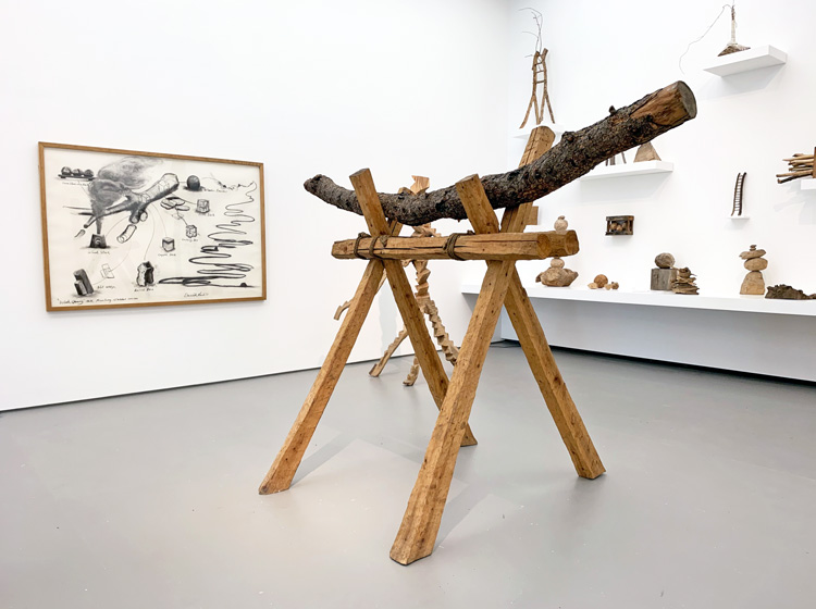 David Nash: 200 Seasons. Installation view, Towner Art Gallery, Eastbourne, 2019. Photo: Martin Kennedy.