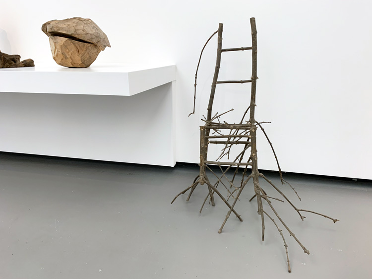 David Nash: 200 Seasons. Installation view, Towner Art Gallery, Eastbourne, 2019. Photo: Martin Kennedy.