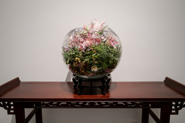 Maryam Najd, installation view, Botanic: National Amalgamation Project, Arthur M Sackler Museum of Art and Archaeology at Peking University, 2019. Photo: Arthur M. Sackler Museum.