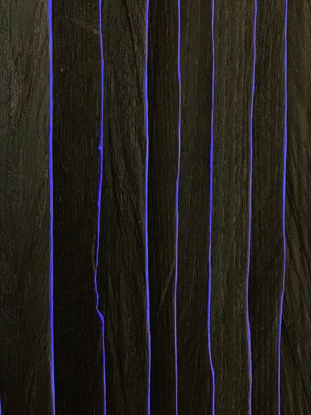 Nunzio, Avvoltoio, 2019 (detail). Pigment and combustion on wood, 238 x 252 x 130 cm. Courtesy Mazzoleni, London-Torino.