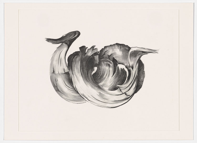 Georgia O'Keeffe, Ram's Horns II, c.1949, from Some Memories of Drawings, 1974. © Georgia O'Keeffe Museum/DACS, London 2021. Photo: Anna Arca.