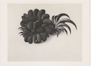 Georgia O'Keeffe, Eagle Claw and Bean Necklace, 1934, from Some Memories of Drawings, 1974. © Georgia O'Keeffe Museum / DACS, London 2021. Photo: Anna Arca.