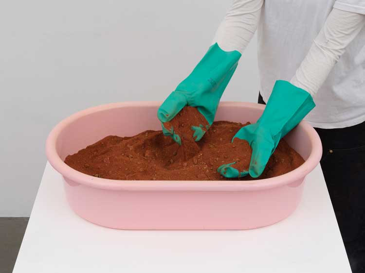 Hélio Oiticica. B34 Bólide bacia 01 (B34 Basin Bólide 01), 1965-66. Plastic, earth, and rubber gloves, 15.3 x 63.7 x 40.8 cm (6 x 25 x 16 in). © Estate of Hélio Oiticica, Courtesy Lisson Gallery.