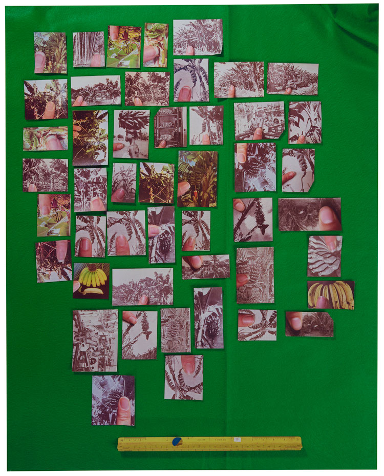 Sara Cwynar. Encyclopedia Grid (Bananas), 2014. Chromogenic print, A.P. 1/2, edition of 3, 40 x 32 in (101.6 x 81.3 cm). Solomon R. Guggenheim Museum, New York.