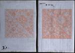 Untitled #5, circa 2002-2005. Martin Thompson (b. 1956) Wellington, New Zealand. Pen on graph paper 15 3/4 x 22" diptych. Courtesy of the Artist 