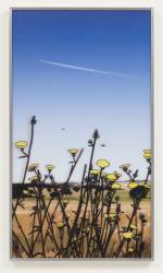 Julian Opie. Jet stream. Daisies. From French landscapes, 2013. Four lenticular acrylic panels. Edition of 35. Courtesy Julian Opie and Alan Cristea Gallery.