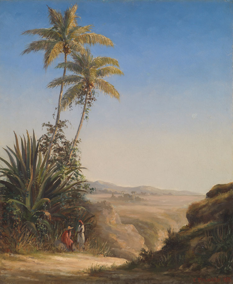 Camille Pissarro, Landscape, Saint Thomas, 1856. Oil on canvas, 47.63 x 38.1 cm. Virginia Museum of Fine Arts, Richmond. Collection of Mr. and Mrs. Paul Mellon.
© Sydney Collins, Virginia Museum of Fine Arts.