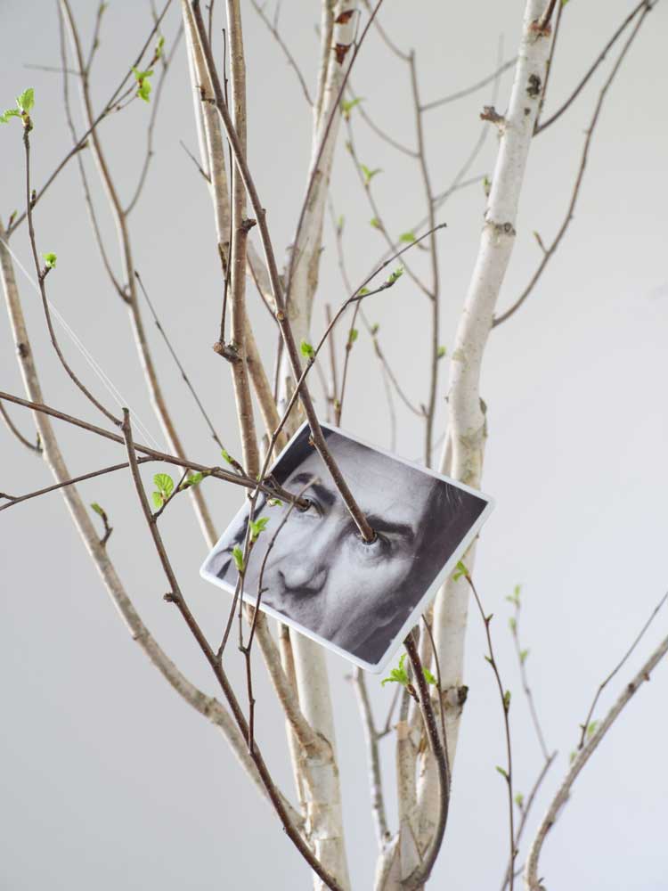 Giuseppe Penone, Sguardo vegetale (Vegetal Gaze), 1995. Photo ceramic. © Photo: George Darrell. Courtesy Giuseppe Penone and Serpentine.