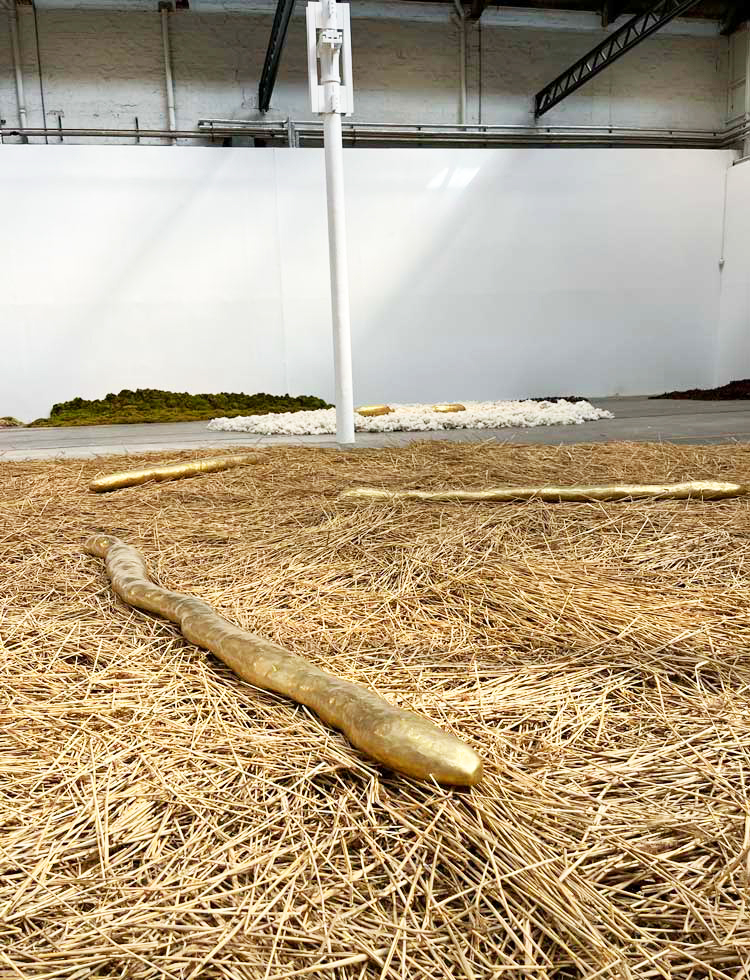 Solange Pessoa: Pilgrim Fields, installation view, Glasgow Tramway, 10 May – 5 October 2025. Photo: Veronica Simpson.