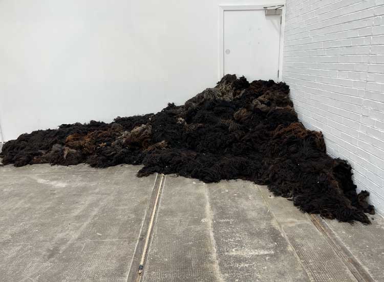 Sheep skins, installation view, Solange Pessoa: Pilgrim Fields, Glasgow Tramway, 10 May – 5 October 2025. Photo: Veronica Simpson.