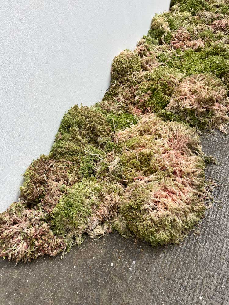 Solange Pessoa: Pilgrim Fields, installation view, Glasgow Tramway, 10 May – 5 October 2025. Photo: Veronica Simpson.