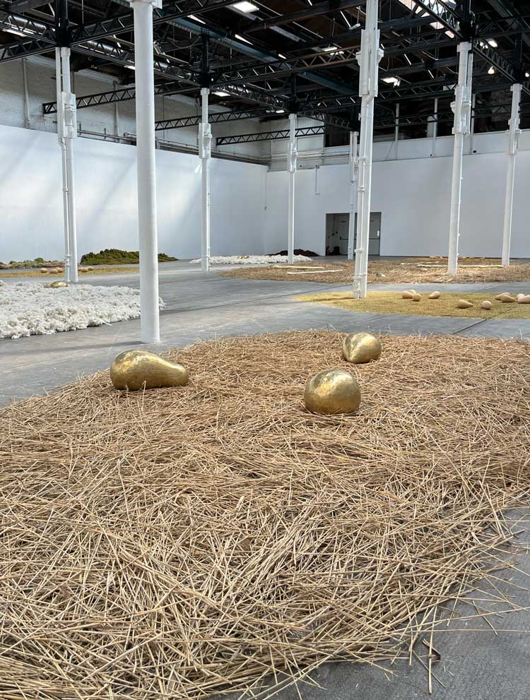 Solange Pessoa: Pilgrim Fields, installation view, Glasgow Tramway, 10 May – 5 October 2025. Photo: Veronica Simpson.