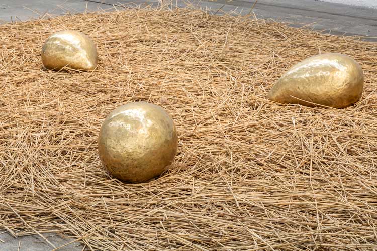 Solange Pessoa: Pilgrim Fields, installation view, Glasgow Tramway, 10 May – 5 October 2025. Photo: Keith Hunter.
