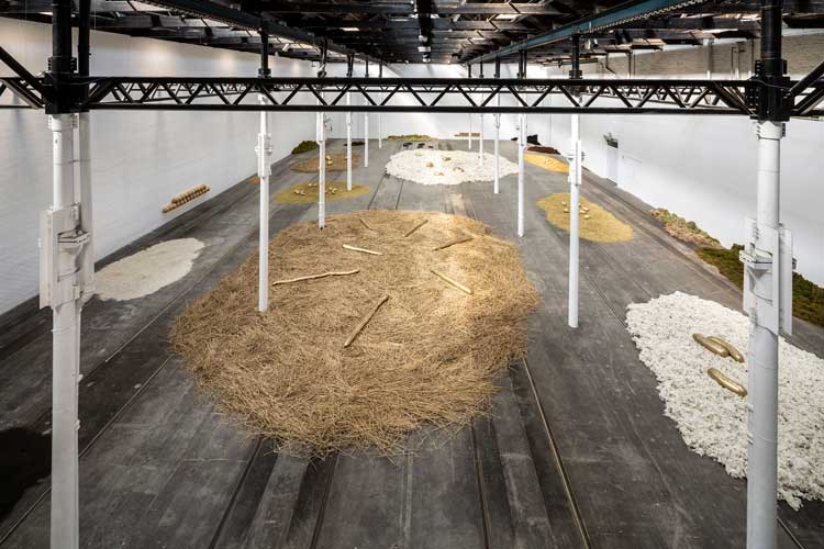 Solange Pessoa: Pilgrim Fields, installation view, Glasgow Tramway, 10 May – 5 October 2025. Photo: Keith Hunter.