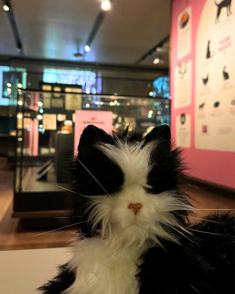 Pets and their People, installation view, Weston Library, Bodleian Libraries, Oxford, 11 March – 27 September 2026. © Bodleian Libraries, University of Oxford.