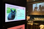 Pets and their People, installation view, Weston Library, Bodleian Libraries, Oxford, 11 March – 27 September 2026. © Bodleian Libraries, University of Oxford.
