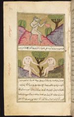 Tarjamat Kitāb ʻAjāʼib al-makhlūqāt Acaib ül-mahlūkat. © Bodleian Libraries, University of Oxford.