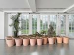 Giuseppe Penone, Gesti vegetali (Vegetal Gestures), 1983. Bronze, plants, soil, and pots. © Photo: George Darrell. Courtesy Giuseppe Penone and Serpentine.