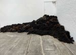 Sheep skins, installation view, Solange Pessoa: Pilgrim Fields, Glasgow Tramway, 10 May – 5 October 2025. Photo: Veronica Simpson.
