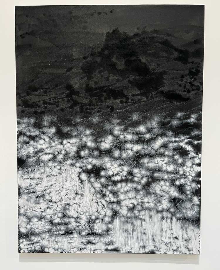 Outi Pieski, Gurra / Gorge, 2014. Acrylic on canvas, 160 x 120 cm. Photo: Veronica Simpson.