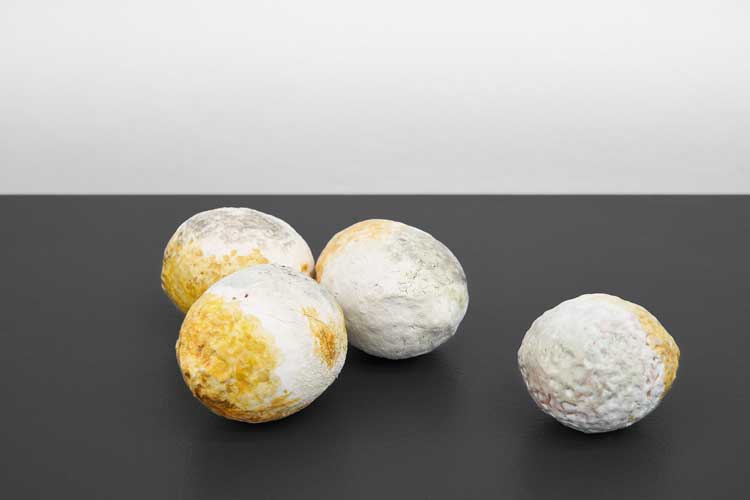 Elisa Giardina Papa. Moldy Lemons #4. They were always outside, their blasphemy was contagious, 2023. Glazed majolica, four piece set, each Ø 5 cm. Image courtesy Galerie Tanja Wagner, Berlin.