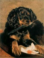 Edwin Landseer, Queen Victoria's Spaniel ‘Tilco’, 1838. Anglesey Abbey © National Trust.