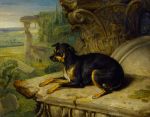 James Ward, Fanny, A Favourite Dog, 1822. By courtesy of the Trustees of Sir John Soane’s Museum, London.