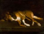 Unknown artist, Dog lying on a ledge, 1650-80. © Ashmolean Museum.