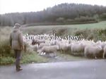 North Devon Farmworkers, Open Door, BBC2, 1975. BBC copyright content reproduced courtesy of the British Broadcasting Corporation. All rights reserved.
