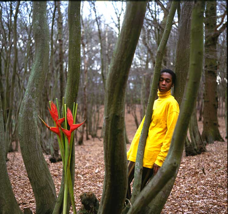 Ingrid Pollard, Self Evident (detail), 1992. Nine colour light boxes, each 50.8 x 50.8 cm and eight silver gelatin prints, each 84.1 x 118.8 cm. © and courtesy of the artist