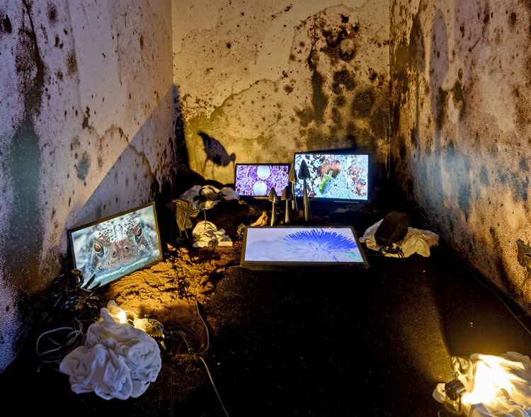 Heather Phillipson. Cyclonic Palate-Cleanser. Installation view at Sharjah Biennial 2019. Image courtesy the artist and Sharjah Art Foundation.