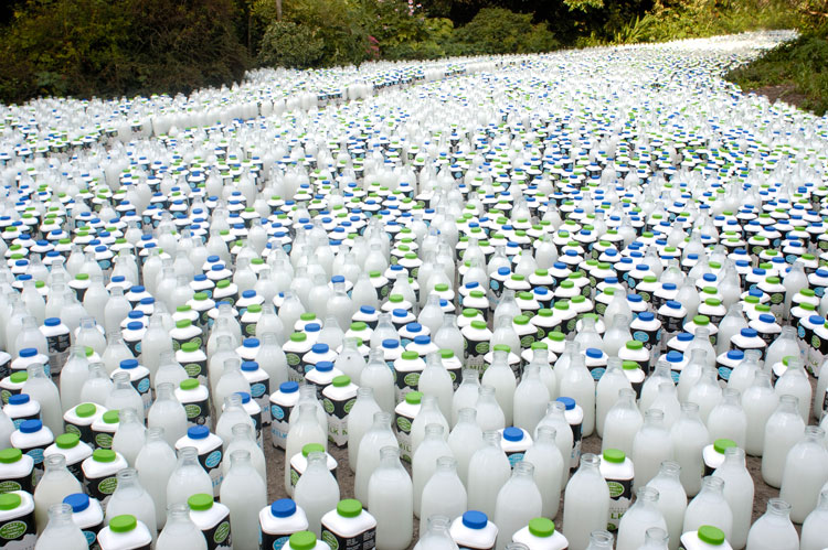 Clare Patey. Human Footprint; All the milk you'll ever drink. Photo: Tim Mitchell.