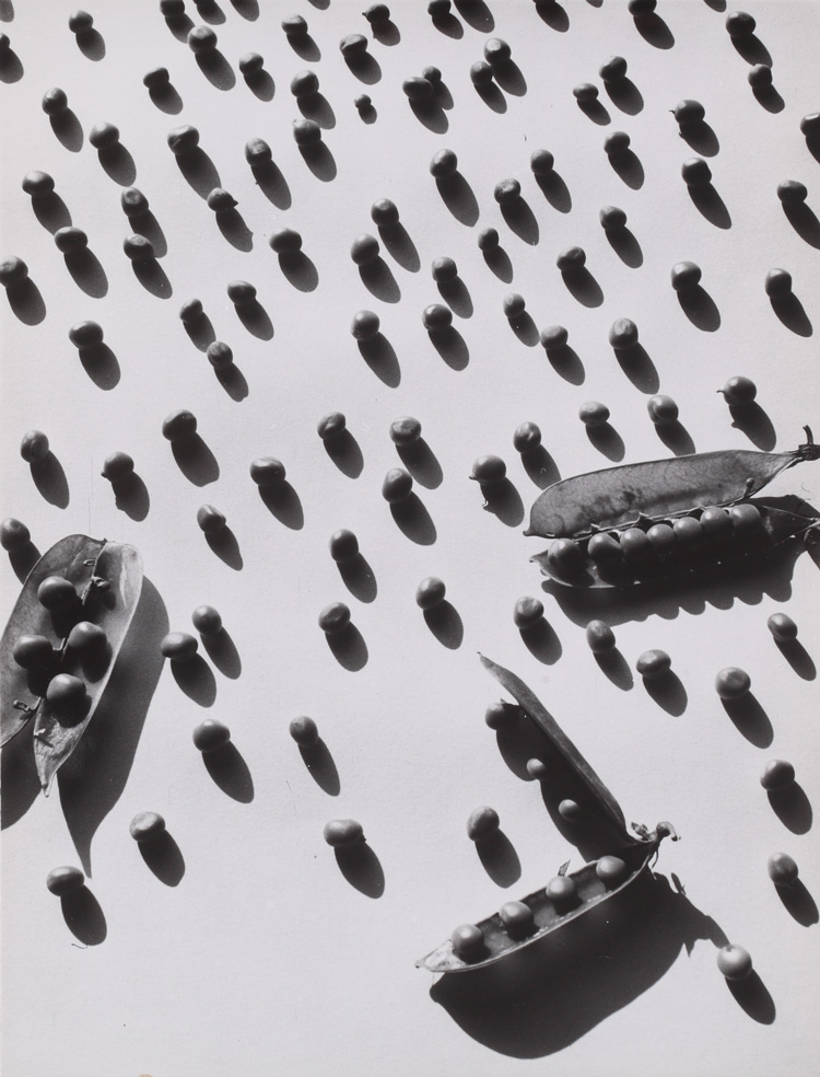 Gyula Holics, Peas, 1950s. Gelatin silver print, Private collection, Derbyshire.