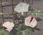 Kazumasa Ogawa, Morning Glory from Some Japanese Flowers c1894. Photo copyright Dulwich Picture Gallery.
