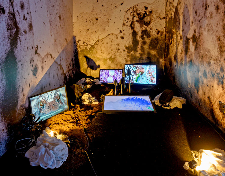 Heather Phillipson, Cyclonic Palate-Cleanser, installation view at Sharjah Biennial, UAE, 2019. Image courtesy Sharjah Art Foundation and the artist.