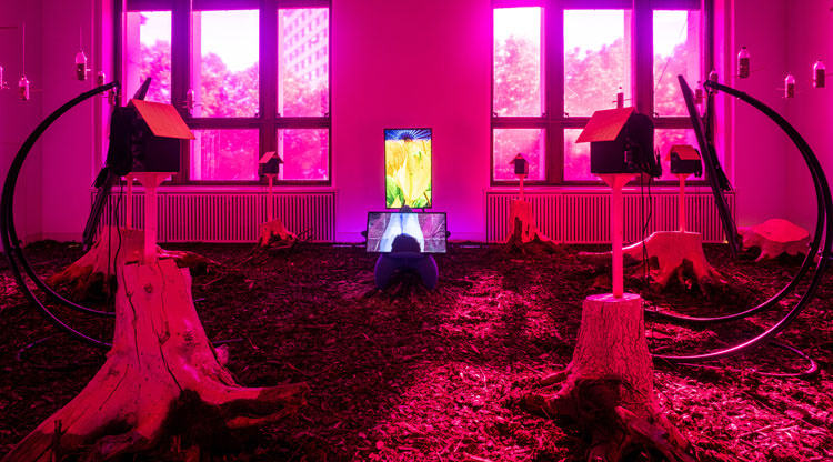 Heather Phillipson, Mesocosmic Indoor Overture, installation view at Martin Gropius Bau, Berlin, 2019. Image courtesy Matthias Voelzke and the artist.