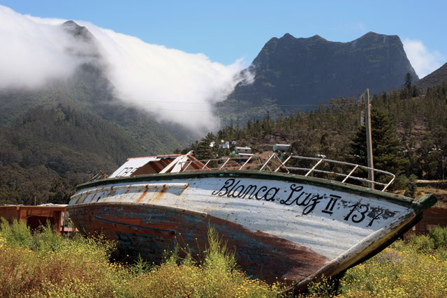 Roger Palmer. Refugio (Isla Robinson Crusoe) (detail) (ii), 2017. Inkjet print.