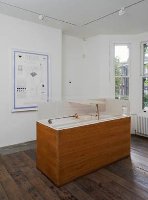 Paul Etienne Lincoln. <em>An Aurelian Labyrinth and other Explications,</em> 2011. Installation view, South London Gallery 2011. Photo: Andy Keate.