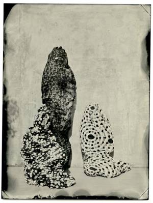 Lucía Pizzani. Impronta Series, 2013. Wet collodion processed photography printed on cotton paper, 40 x 30 cm.