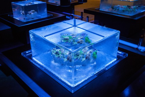 Glenn Kaino. Tank, 2014. Resin, aquariums, metal, coral. Photograph: Joseph Rynkiewicz, courtesy of Glenn Kaino and Kavi Gupta CHICAGO | BERLIN. Installation at Prospect 3 in New Orleans, curated by Franklin Sirmans.